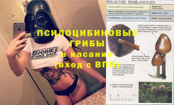 jwh Богородск