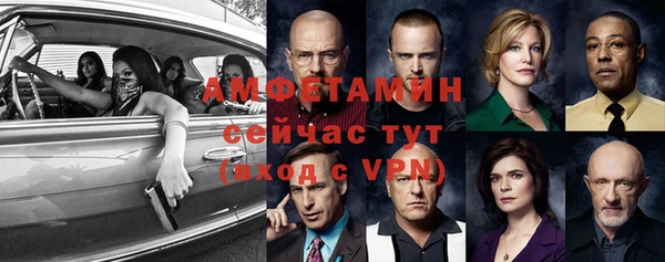 apvp Богданович