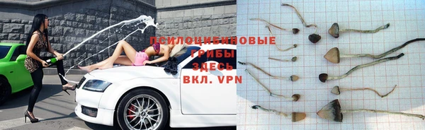 jwh Богородск