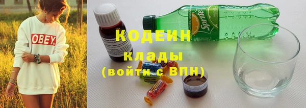 apvp Богданович