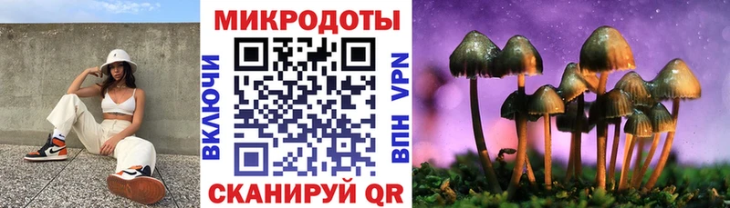 Псилоцибиновые грибы мицелий Благовещенск